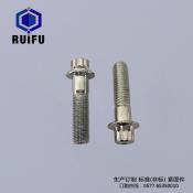 Torx bolt